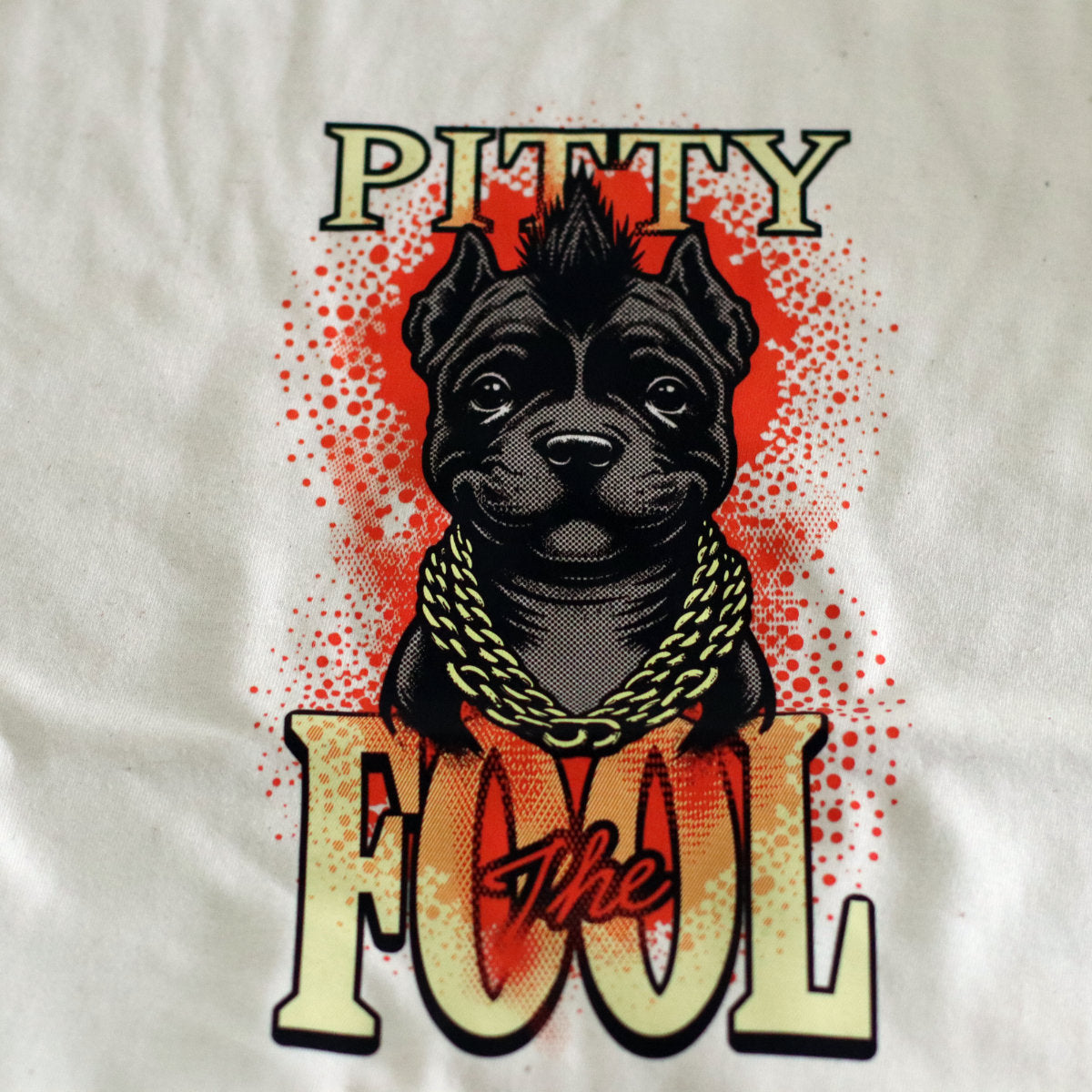 Pitty the Fool Short-Sleeve Unisex Gildan 6400 T-Shirt